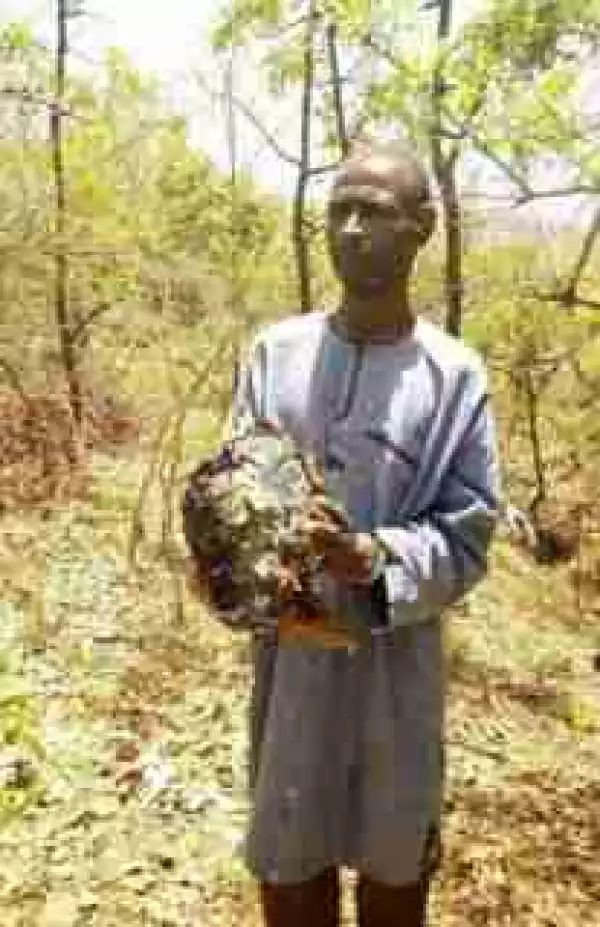 Suspected Kidnapper Apprehended With Decayed Human Head In Bauchi